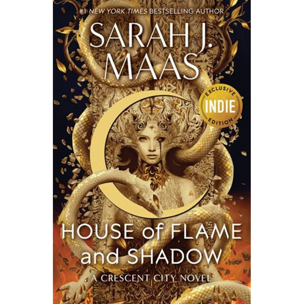 House of Flame and Shadow book cover