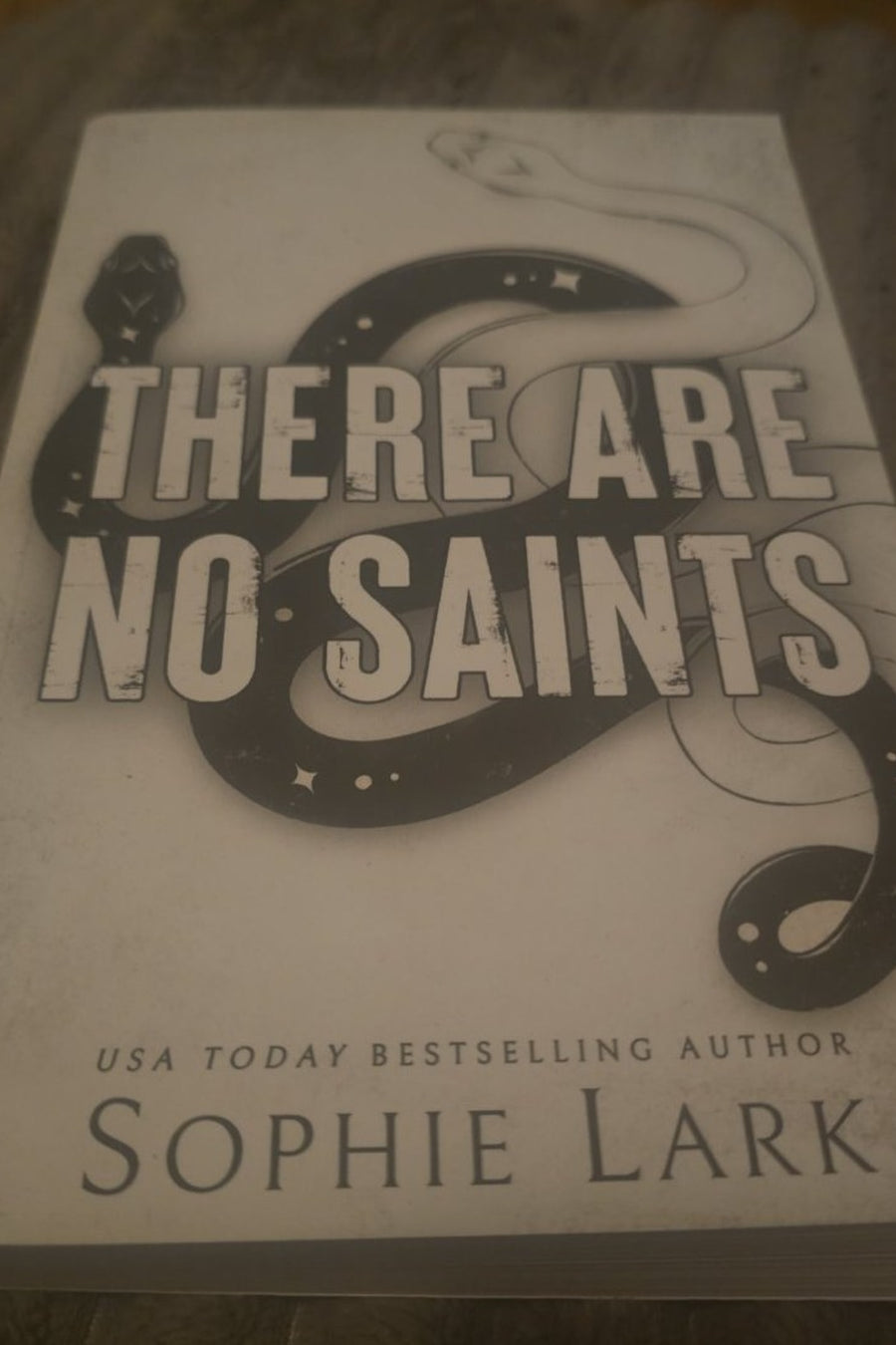 There Are No Saints — Paperback · Like New