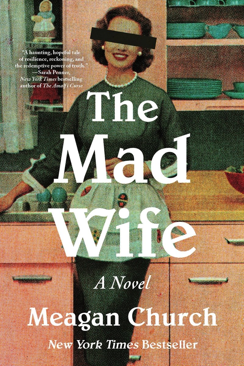 The Mad Wife book cover