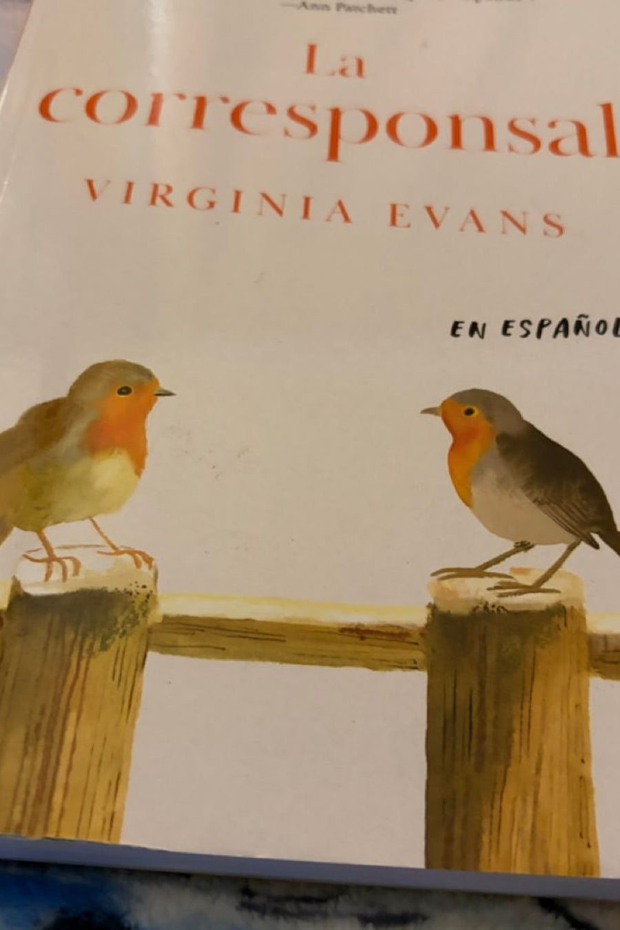 La corresponsal (The Correspondent) — Paperback · New