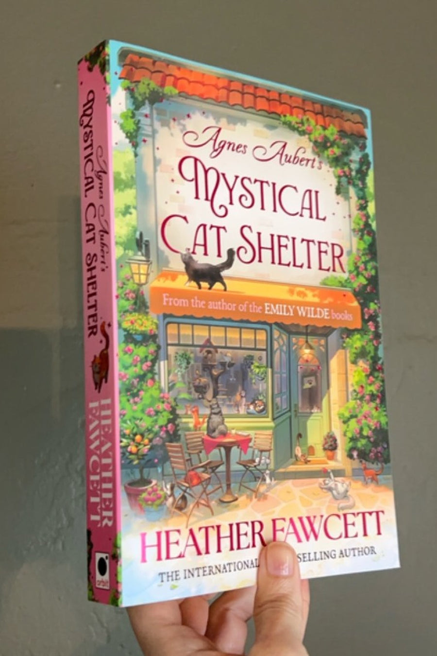 Agnes Aubert's Mystical Cat Shelter — Paperback · New