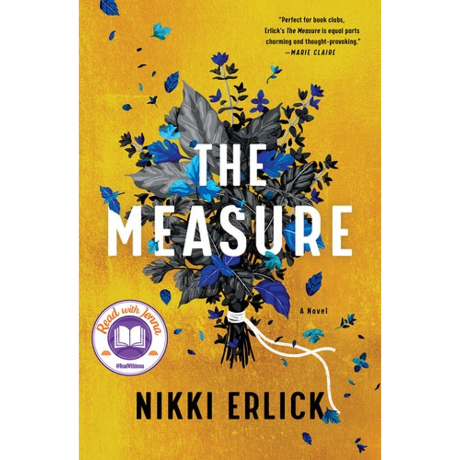 The Measure by Nikki Erlick book cover